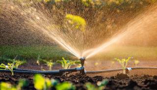 Eine automatische Gartenbewässerung in einem Beet