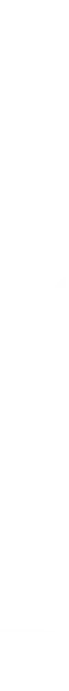 Elsner Markenlogo