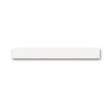 BUSCH-JAEGER Abschlussleiste priOn 