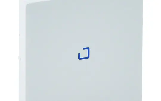 LEGRAND Kontrollwippe Valena Life 