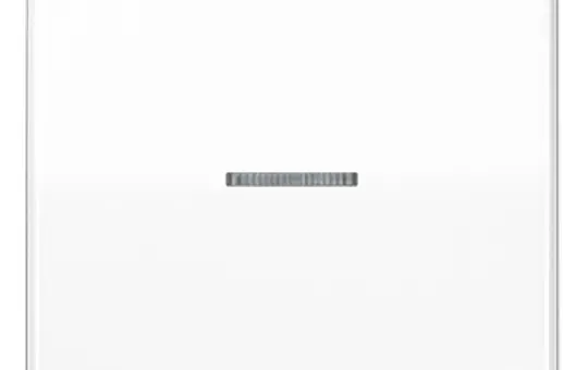 JUNG KNX-Kontrollwippe F10 Serie CD 