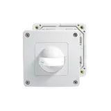 ESYLUX EM10055157 Abdeckung Wandmelder Standard IP 44 | weiß