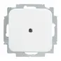 morepic-1