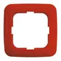 morepic-1