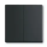 BUSCH-JAEGER 1785-885 Wippe Future 2-fach | schwarz matt