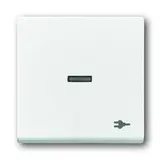 BUSCH-JAEGER 1789ST-84 beschr. Kontrollwippe Future 1-fach, Stecker, Fenster, transparent | studioweiß