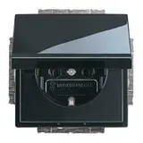 BUSCH-JAEGER 20EUK-81 SCHUKO-Steckdose Future Klappdeckel | anthrazit