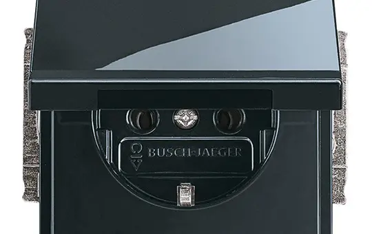 BUSCH-JAEGER 20EUK-81 SCHUKO-Steckdose Future Klappdeckel | anthrazit