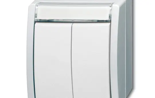 BUSCH-JAEGER 2621WN-54-205-101 Doppeltaster Ocean 2 Schließer | alpinweiß