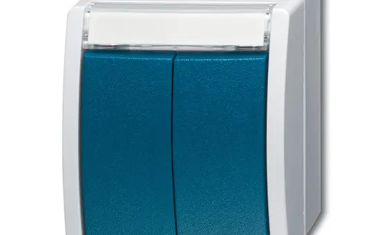 BUSCH-JAEGER 2621WN-53-205-101 Doppeltaster Ocean 2 Schließer | grau/blaugrün