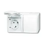 BUSCH-JAEGER 20/2EW-54 SCHUKO-AP-Steckdose Ocean 2-fach, waagerecht | alpinweiß