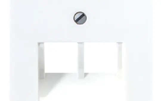 JUNG A569-2BFPLUAWWM Netzwerkabdeckung Serie A 2-fach, Thermoplast | schneeweiß matt