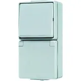 JUNG 676W SCHUKO-Steckdose Serie WG 600 1-fach, Wechselschalter | grau