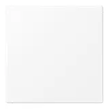 JUNG LS994BWWM Blindabdeckung Serie LS gerastet | schneeweiß matt