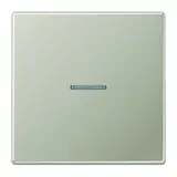 JUNG ES2990KO5 Kontrollwippe Serie LS 1-fach | edelstahl