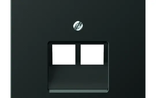 JUNG AL2969-2UAAN Netzwerkabdeckung Serie LS 2-fach | anthrazit