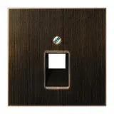 JUNG ME2969-1UAAT Netzwerkabdeckung Serie LS 1-fach | messing antik