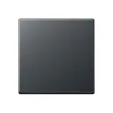 JUNG A590BFANM Wippe Serie A 1-fach, Thermoplast | anthrazit matt