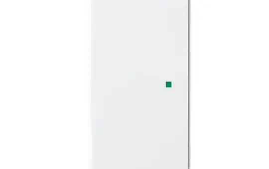 BUSCH-JAEGER 6230-20-84 Wippe flex Future 2-fach | studioweiß