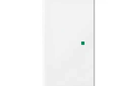 BUSCH-JAEGER 6230-20-914 Wippe flex Balance SI 2-fach | alpinweiß