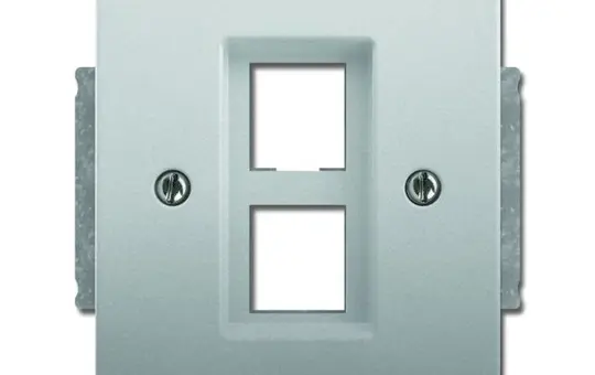 BUSCH-JAEGER 2561-02-866 Modular-Jack-Einsatz Future 2-fach | edelstahl