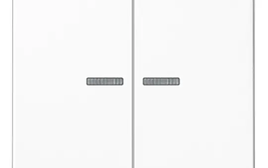 JUNG A102KO5WW KNX-Kontrollwippe Serie A 2-fach | alpinweiß