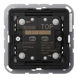 JUNG LSCD10721ST KNX-Tastsensor F10 LS 2-fach, Standard