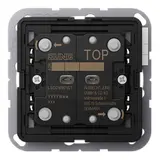 JUNG LSCD10921ST KNX-Tastsensor F10 LS 2-fach, universal