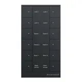 BUSCH-JAEGER SB-F-12.0.11-885 f@h-Tastsensor tenton 12-fach | schwarz matt