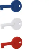 HAGER RXE02D Zubehör für BEKA Druckknopfmelder Ersatzschlüssel