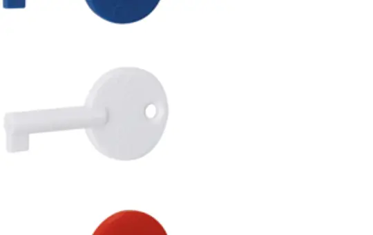 HAGER RXE02D Zubehör für BEKA Druckknopfmelder Ersatzschlüssel