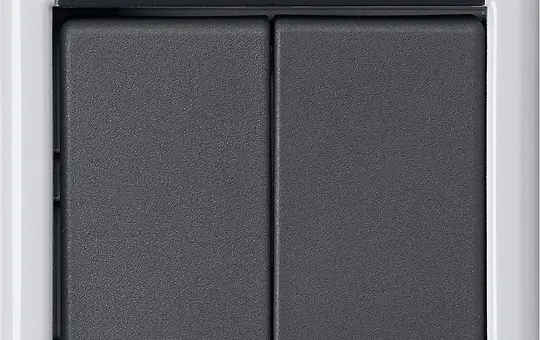 GIRA 516230 KNX-Taster-Busankoppler Aufputz WG 2-fach, Zweipunktbedienung