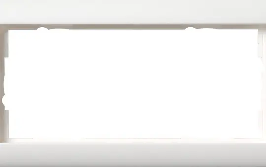 GIRA 100204 Abdeckrahmen Standard 55 2-fach ohne Mittelsteg | reinweiß seidenmatt