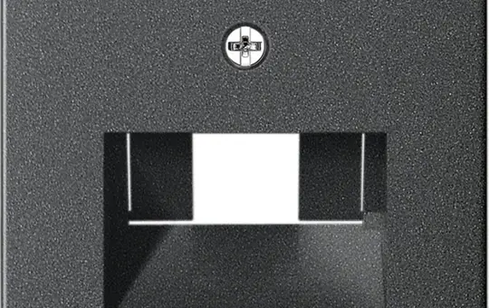GIRA 028428 Netzwerkabdeckung System 55 1/2-fach, Schriftfeld | anthrazit