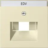 GIRA 028401 Netzwerkabdeckung System 55 1/2-fach, Schriftfeld | cremeweiß glänzend