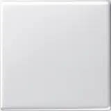 GIRA 029603 Wippe System 55 1-fach | reinweiß glänzend