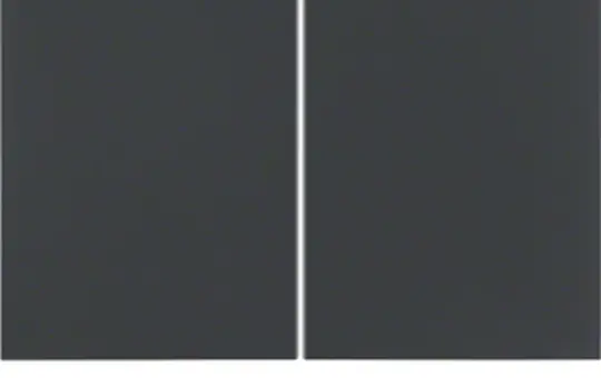 BERKER 85142175 Taste K.1/K.5 2-fach | anthrazit matt lackiert