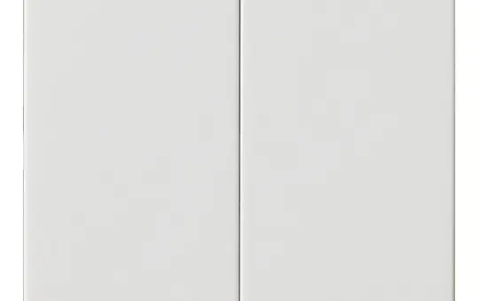 GIRA 537003 Elektronikwippe System 55 2-fach | reinweiß glänzend