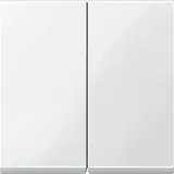 MERTEN 432519 Wippe System M 2-fach | polarweiß glänzend