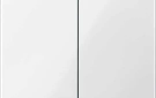 MERTEN 432519 Wippe System M 2-fach | polarweiß glänzend
