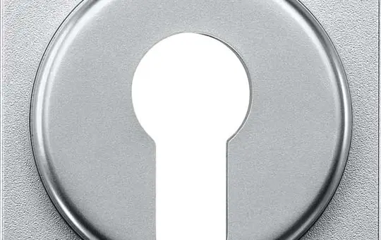 MERTEN 319360 Jalousie-Drehknopf System M für Schlüsselschalter | aluminium