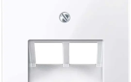 MERTEN 296125 Netzwerkabdeckung System M 2-fach | aktivweiß glänzend