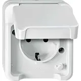 MERTEN MEG2400-8019 SCHUKO-Steckdose AQUASTAR 1-fach, Berührungsschutz, Schraubklemmen | polarweiß