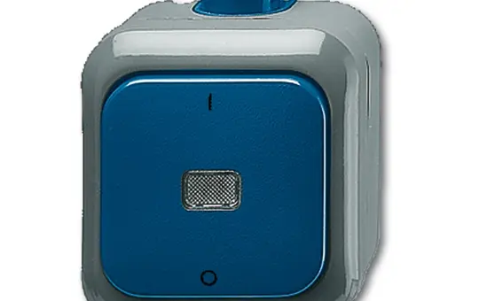 BUSCH-JAEGER 2601/2 WDI Kontrollschalter Duro 2000 WDI Ausschalter, 2-polig