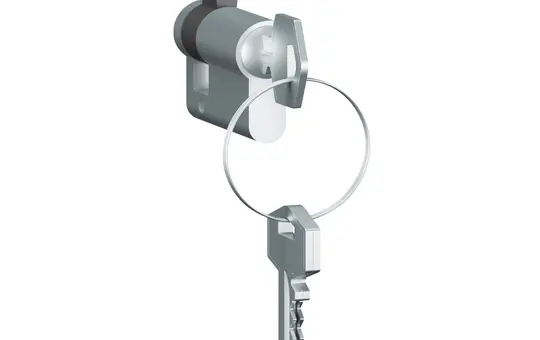 LEGRAND 69795 Soliroc Halbzylinder 40 mm