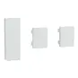 morepic-1