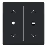 BUSCH-JAEGER LFDW/A.2.63.11-885 Wippe für Keypad future 2-fach, Pfeile, Licht links, Jalousie rechts | schwarz matt