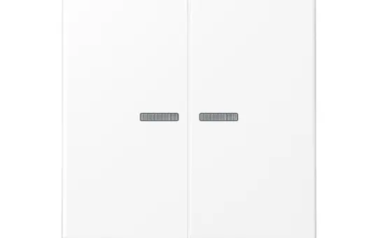 JUNG BTA17102WWM Tastsensor HOME Serie A 2-fach | schneeweiß matt