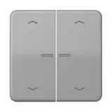 JUNG BTCD17102PGR beschr. Tastsensor HOME Serie CD 2-fach, Pfeile | grau