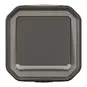 morepic-1
